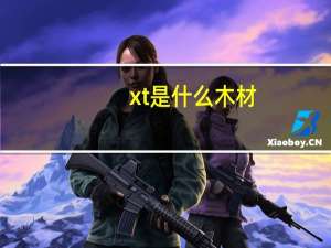 xt是什么木材