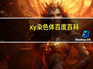 xy染色体百度百科（xy染色体是什么意思）