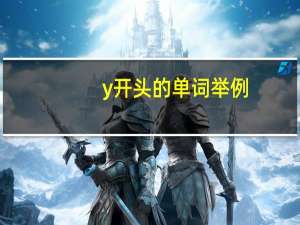 y开头的单词举例