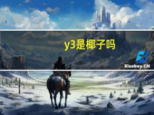 y3是椰子吗