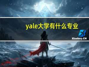 yale大学有什么专业