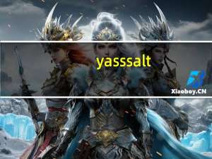 yass salt（Sad yas yas yas简介）