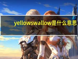 yellow swallow是什么意思（swallow是什么意思）