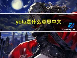 yolo是什么意思中文（美国人常说的YOLO是什么意思）