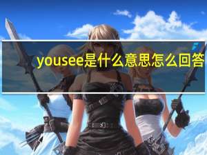 you see是什么意思怎么回答