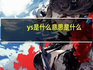 ys是什么意思是什么