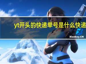 yt开头的快递单号是什么快递