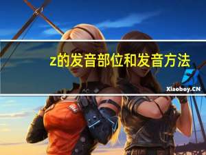 z的发音部位和发音方法