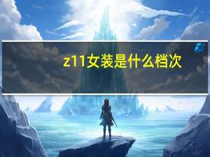 z11女装是什么档次