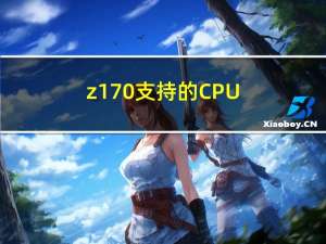 z170支持的CPU（z17）