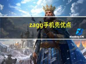 zagg手机壳优点（ZAGG简介）