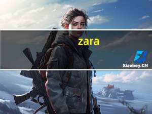zara（z向钢）