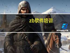 zb软件培训（zb软件）