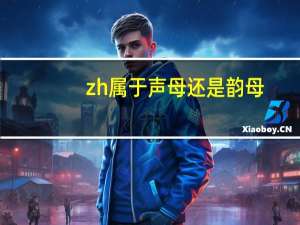 zh属于声母还是韵母