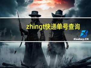 zhingt快递单号查询（zhon通快递单号查询）