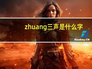 zhuang三声是什么字