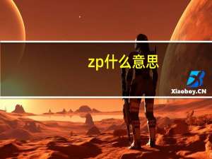 zp什么意思