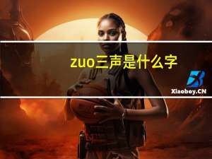 zuo三声是什么字