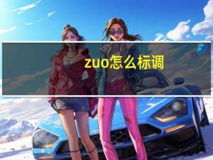 zuo怎么标调