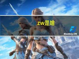 zw是啥