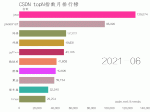 NLP 实战 (9) | CSDN topN指数月排行榜竞赛动画