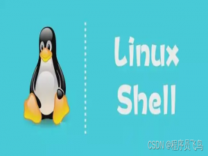 【Linux】：shell循环语句