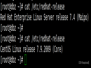 红帽Rhel7.6操作系统更换成Centos7.6的操作系统
