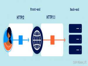 WEB安全-金手铐系列-HTTP/2高级请求夹带攻击--Advanced request smuggling
