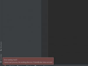2、Cannot start process, the working directory ‘D:\Intellij idea‘ does not exist