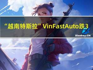 “越南特斯拉”VinFast Auto（VFS）跌3.38%报16.57美元