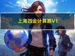 上海四金计算器 V1.0 绿色版（上海四金计算器 V1.0 绿色版功能简介）