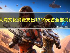 上海居民人均文化消费支出1719元占全部消费支出的3.52%