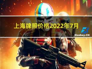 上海牌照价格2022年7月（上海牌照价格）