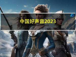 中国好声音2023（金磊-《中国好声音》导演简介）