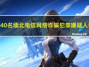 内蒙古公安机关押解40名缅北电信网络诈骗犯罪嫌疑人归案 到底什么情况呢