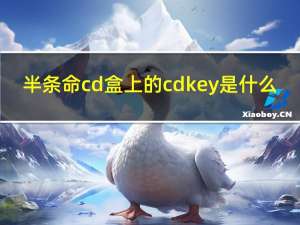 半条命cd盒上的cdkey是什么（半条命cd盒上的cd key）