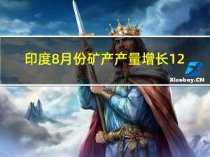 印度8月份矿产产量增长12.3%