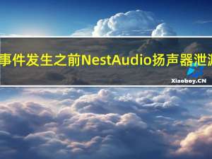 在Google事件发生之前 Nest Audio扬声器泄漏出新图像
