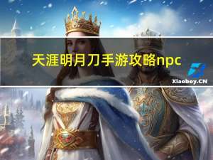 天涯明月刀手游攻略npc（天涯明月刀手游攻略）