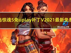 孤岛惊魂5免uplay补丁 V2021 最新免费版（孤岛惊魂5免uplay补丁 V2021 最新免费版功能简介）