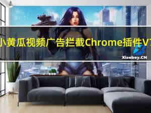 小黄瓜视频广告拦截Chrome插件 V7.0 免费版（小黄瓜视频广告拦截Chrome插件 V7.0 免费版功能简介）