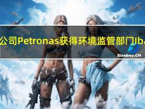 巴西国家石油公司Petronas获得环境监管部门Ibama最新许可