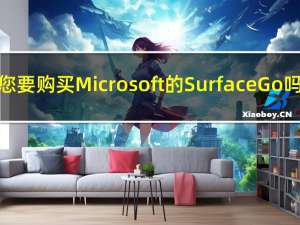 您要购买Microsoft的Surface Go吗