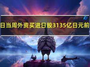 日本至11月3日当周外资买进日股 3135亿日元前值106亿日元