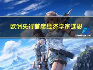 欧洲央行首席经济学家连恩：欧洲央行要到2024年才会对价格完全有信心