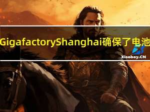 特斯拉为Gigafactory Shanghai确保了电池合作伙伴