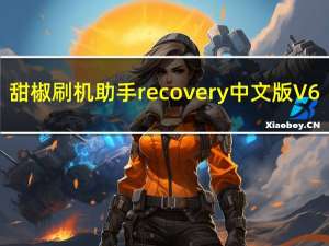 甜椒刷机助手recovery中文版 V6.5.2.0 官方最新版（甜椒刷机助手recovery中文版 V6.5.2.0 官方最新版功能简介）