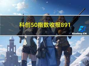 科创50指数收报891.38点涨0.48%