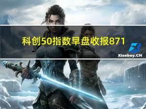 科创50指数早盘收报871.11点跌0.80%