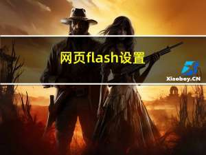 网页flash设置（网页flash）